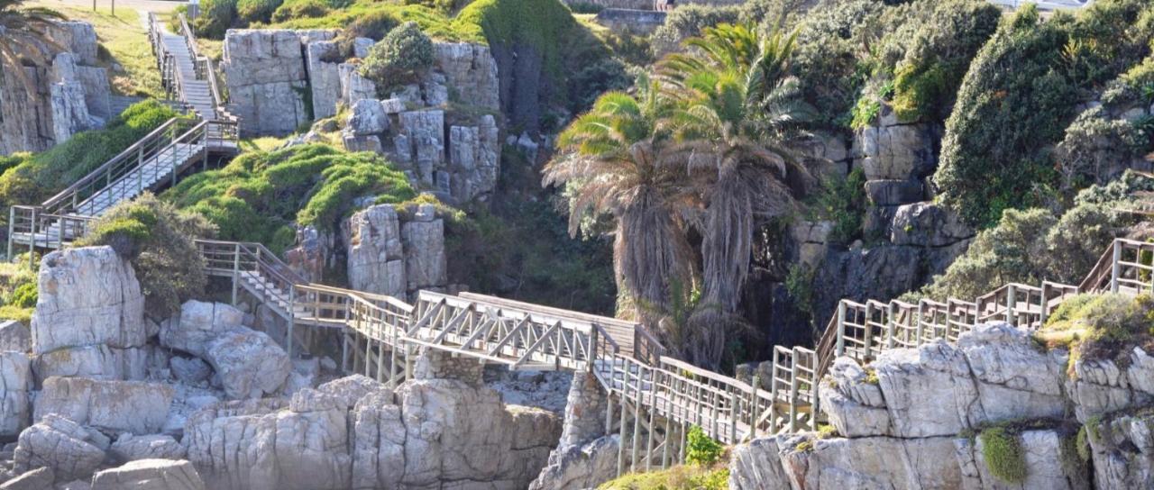 Hermanus Haven, Entire Home, On The Sea, Private Pool, Secure 外观 照片